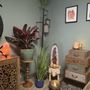 Soul Sister Holistic Health & Wellness