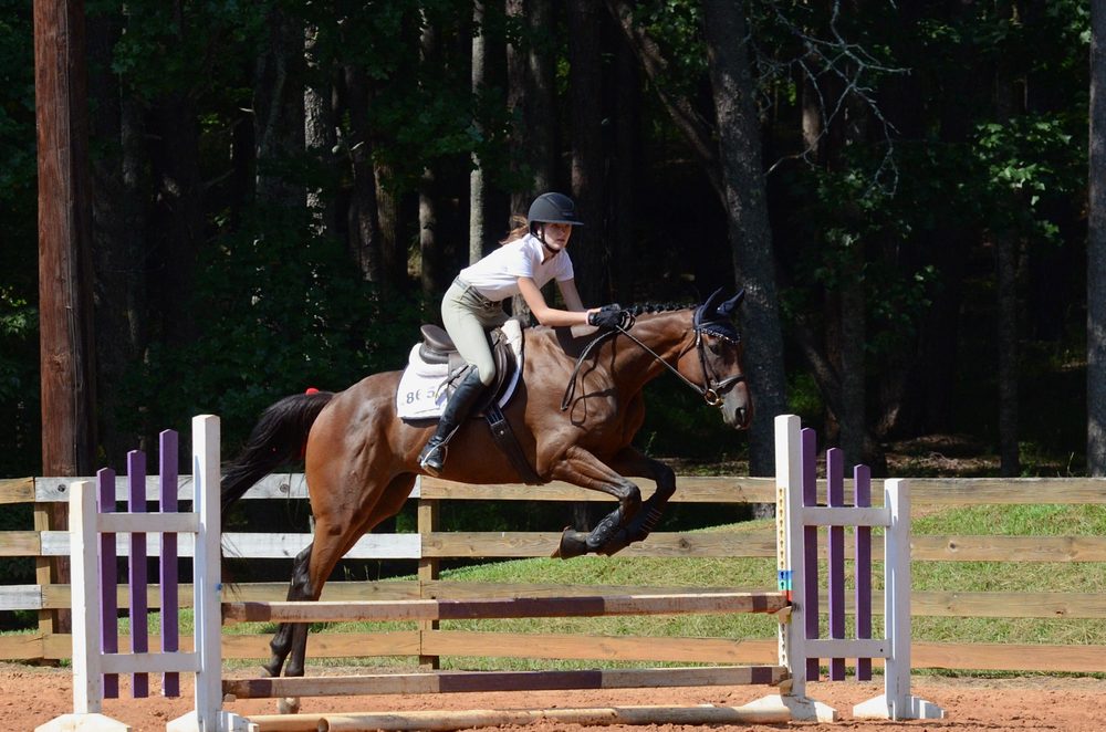 Aries Equestrian Logo