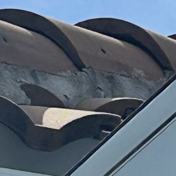 Alan Scott Roof Cleaning - mold - Painters Near Me Alan Scott Roof Cleaning - mold - Painters Near Me