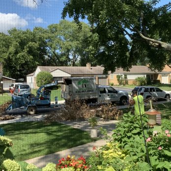 Buddy's Tree Service - Tree Services Near Me - Hanover Park, Illinois Buddy's Tree Service - Tree Services Near Me - Hanover Park, Illinois