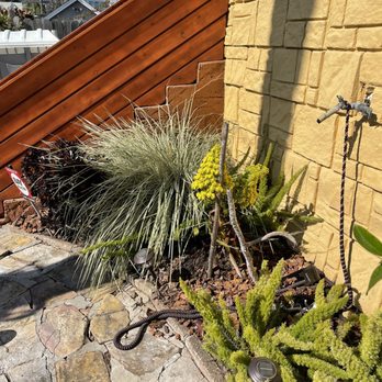 Liaison Landscapes - Landscape Architects or Designers Near Me - San Francisco, California Liaison Landscapes - Landscape Architects or Designers Near Me - San Francisco, California