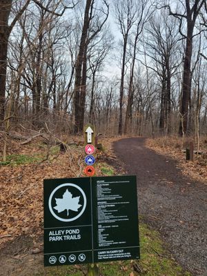 Alley Pond Environmental Center by null