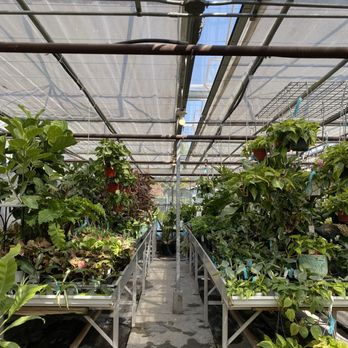 Alpine Nursery & Landscape - Houseplant section! - Nurseries & Gardening Near Me - Puyallup, Washington