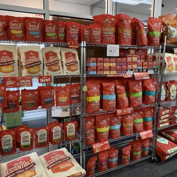 will human shampoo kill fleas