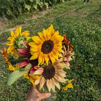 Jubilee Farm - Farms Near Me - Carnation, Washington