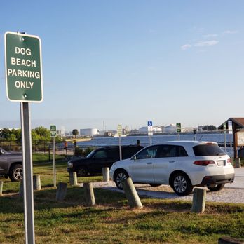 Davis Island Dog Beach - Dog Parks Near Me - Tampa, Florida Davis Island Dog Beach - Dog Parks Near Me - Tampa, Florida