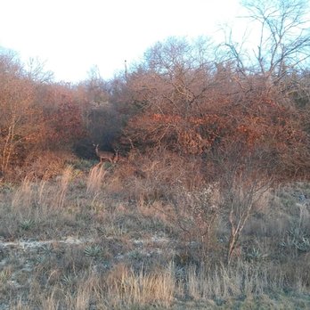 Holiday Park, Benbrook Lake - Hiking Near Me - Fort Worth, Texas Holiday Park, Benbrook Lake - Hiking Near Me - Fort Worth, Texas