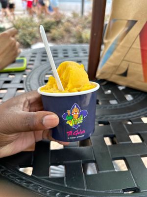 Vivoli il Gelato by null