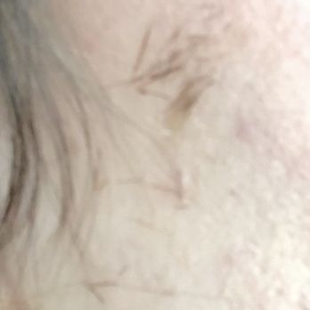 T5 Hair Design - Pieces of cut hair on my face after leaving... - Hair Salons Near Me - Grayslake, Illinois T5 Hair Design - Pieces of cut hair on my face after leaving... - Hair Salons Near Me - Grayslake, Illinois