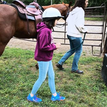 Raintree Equestrian Center - Horseback Riding Near Me - Olive Branch, Mississippi Raintree Equestrian Center - Horseback Riding Near Me - Olive Branch, Mississippi
