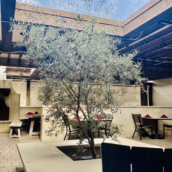 Bolero Restaurante - Olive tree in the middle of the patio - Tapas/Small Plates Near Me - Temecula, California