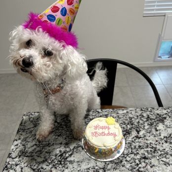 Happy Tails Barkery - Cake - Pet Stores Near Me - Gilbert, Arizona
