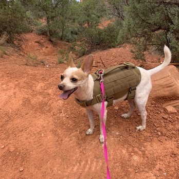 Red Agave Resort - Adventure dog - Hotels Near Me - Sedona, Arizona Red Agave Resort - Adventure dog - Hotels Near Me - Sedona, Arizona