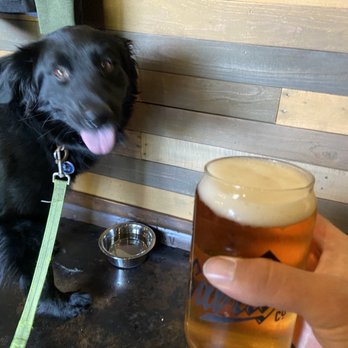 Savage Brewing - Breweries Near Me - Kirkland, Washington