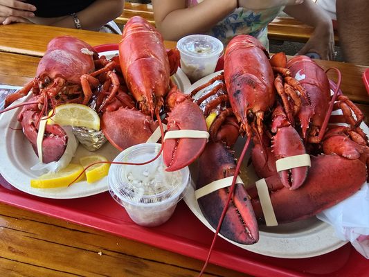 Newport Lobster Shack- Live Market by null