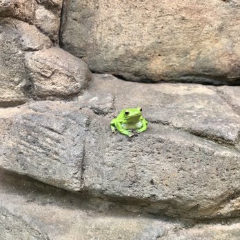 Sydney Wildlife World - Zoos Near Me - Darling Harbour, NSW