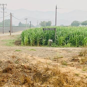 The Pumpkin Patch - Pumpkin Patches Near Me - San Luis Obispo, California