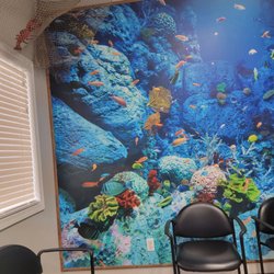Steve Koplow, DDS - Under the sea