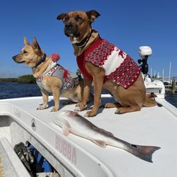 Yellow Dawg Fishing