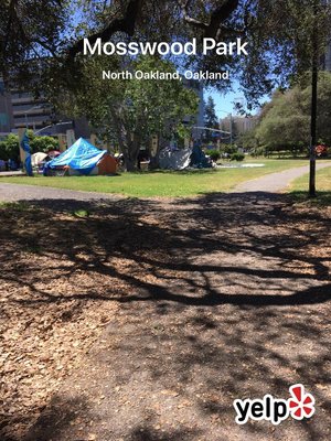 Mosswood Park by null