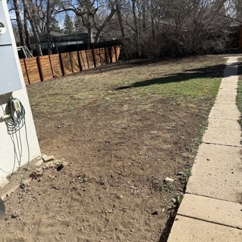 Miller Forestry and Landscape - Before. - Tree Services Near Me - Wheat Ridge, Colorado