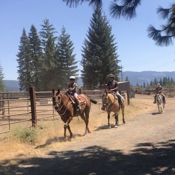 VS Equine - Coming back from the trail ride - Horseback Riding Near Me VS Equine - Coming back from the trail ride - Horseback Riding Near Me