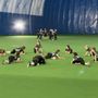 The Golf Dome
