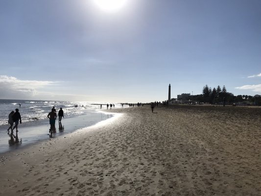 Dunas de Maspalomas by null