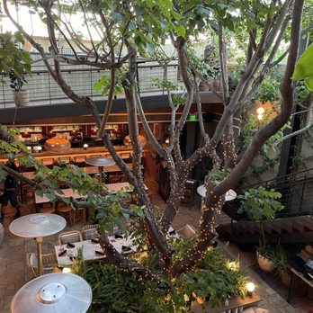 Mirate - Lower Dining Area - Mexican Near Me - Los Angeles, California Mirate - Lower Dining Area - Mexican Near Me - Los Angeles, California