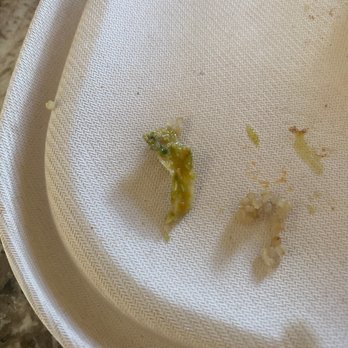 sweetgreen - Healthy Salads, Wraps, and Bowls - Chicken bone in my plate - Salad Near Me - Berkeley, California sweetgreen - Healthy Salads, Wraps, and Bowls - Chicken bone in my plate - Salad Near Me - Berkeley, California