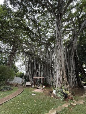 Govinda's Restaurant by null