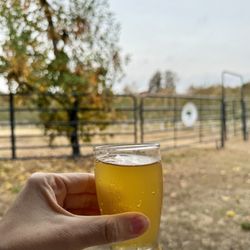 Windy Hill Orchard & Cidery
