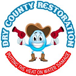 Dry County Restoration - New updated logo! Meet "H2Joe"
