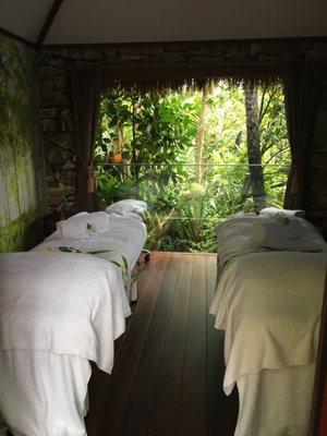 The Lost Spring by null