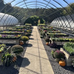 Green Thumb Nursery