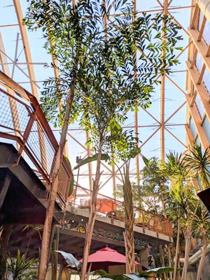 The Kartrite Resort & Indoor Waterpark by null