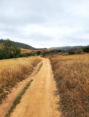 Los Penasquitos Canyon County Preserve by null