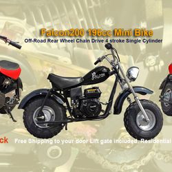 NTX Powersports - Https://ntxpowersports.com/products/ricky-power-sports-falcon-200cc-motorcycle-single-cylinder-4-stroke-200cc-engine