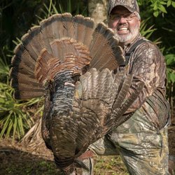 Ross Hammock Ranch - Turkey hunting