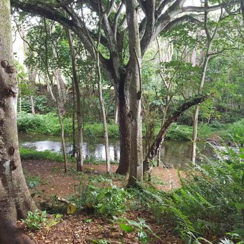 Hoopii Falls - a little quiet spot - Hiking Near Me - Kapaa, Hawaii