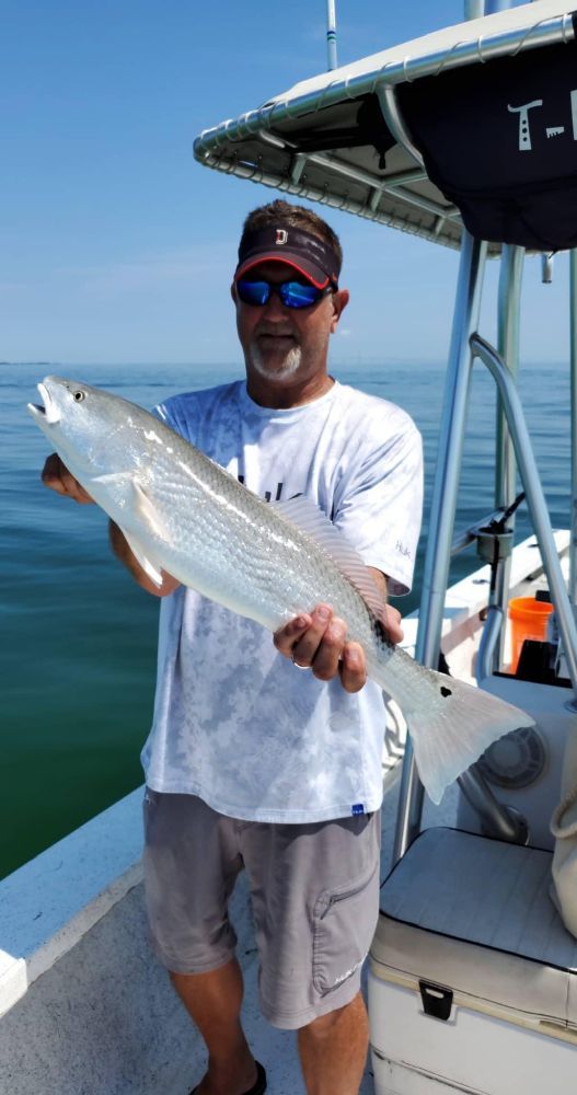 Bradenton Florida Fishing Charters Logo