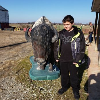 Broken Wagon Bison - Educational Services Near Me - Hobart, Indiana
