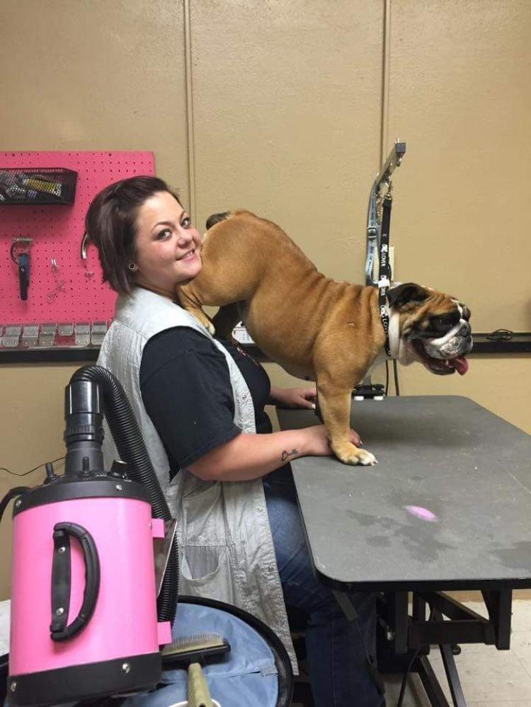 AFTER GLO PET SALON with 17 real customer photos Updated August 2024