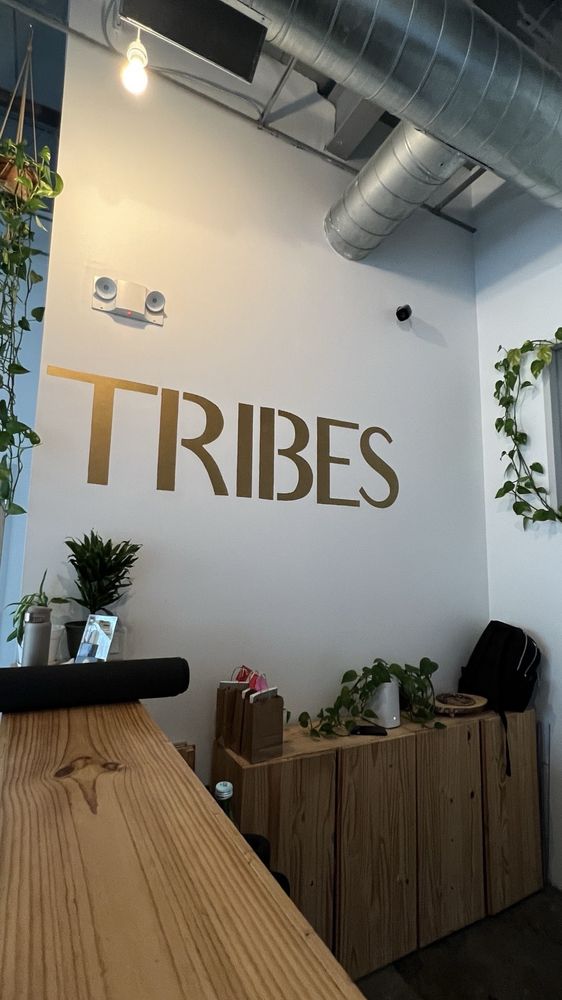 Soul Tribes Yoga + Meditation Logo