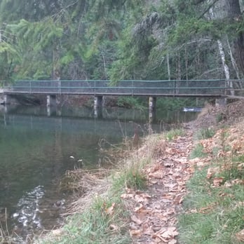 Whatcom Falls Park - Dog Parks Near Me - Bellingham, Washington