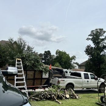 C.I.R Tree Service - Tree Services Near Me - Houston, Texas C.I.R Tree Service - Tree Services Near Me - Houston, Texas