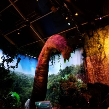 Field Museum - Animatronic dinosaur!! - Museums Near Me - Chicago, Illinois Field Museum - Animatronic dinosaur!! - Museums Near Me - Chicago, Illinois