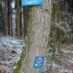Lingelslay