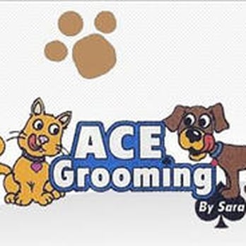 Ace Grooming By Sara - Ace Grooming By Sara logo - Pet Groomers Near Me - Centennial, Colorado