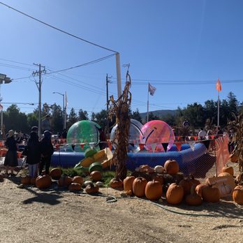 Queens Pumpkin Patch - Pumpkin Patches Near Me - Saratoga, California Queens Pumpkin Patch - Pumpkin Patches Near Me - Saratoga, California